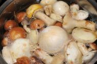 как избежать ботулизма в грибах